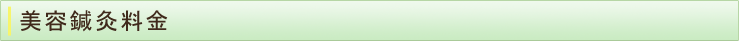 美容鍼灸料金