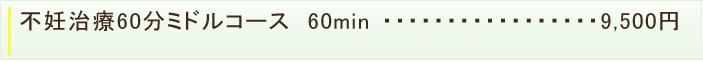 不妊治療60分ミドルコース