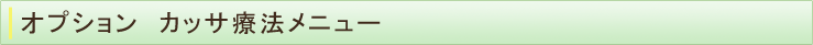 カッサ療法メニュー