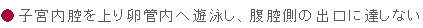 子宮内腔を上り卵管内へ遊泳し、腹腔側の出口に達しない